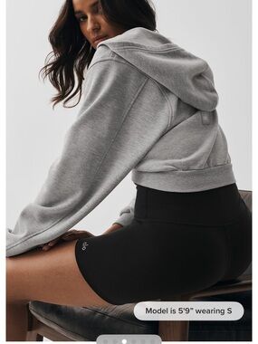 ALO Yoga Light Grey Cropped Hoodie